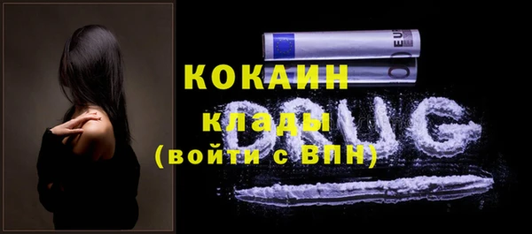 индика Абаза