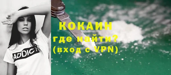 индика Абаза