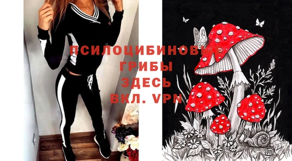 индика Абаза