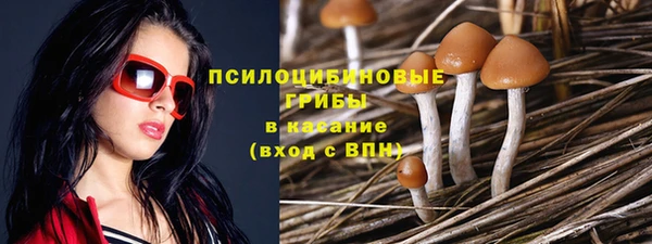 индика Абаза