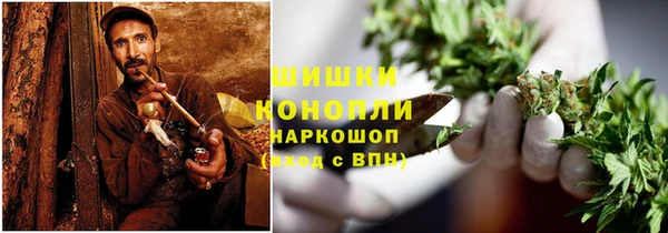 индика Абаза
