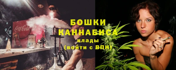 индика Абаза